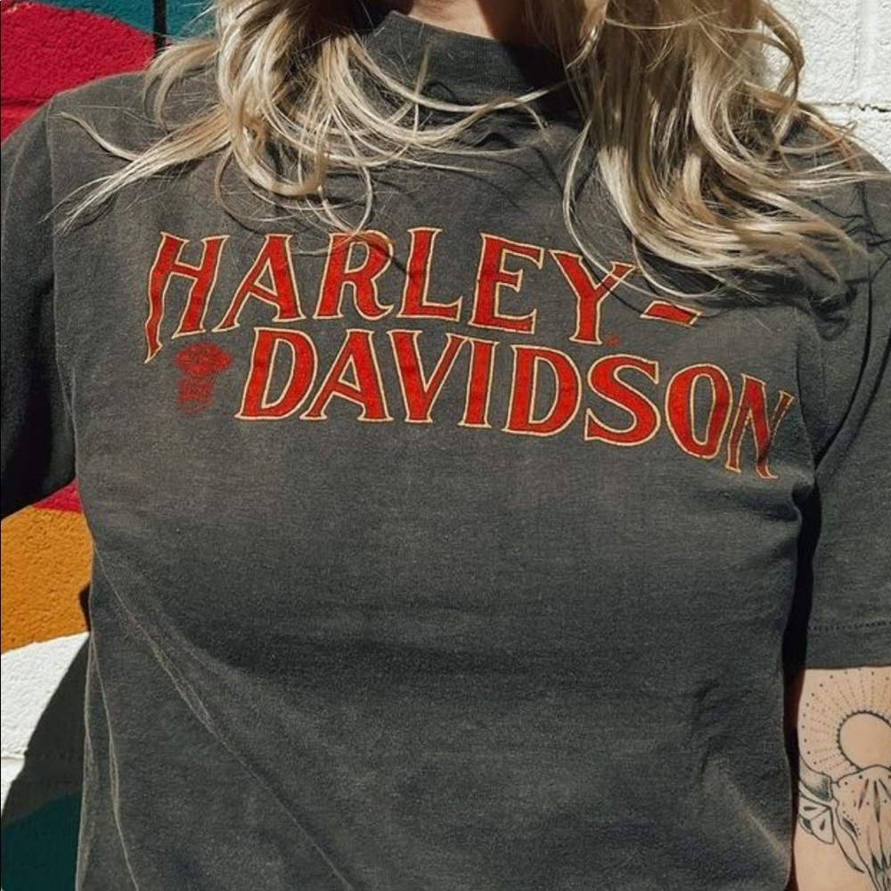Vintage 1980s Harley Davidson Michigan Tee